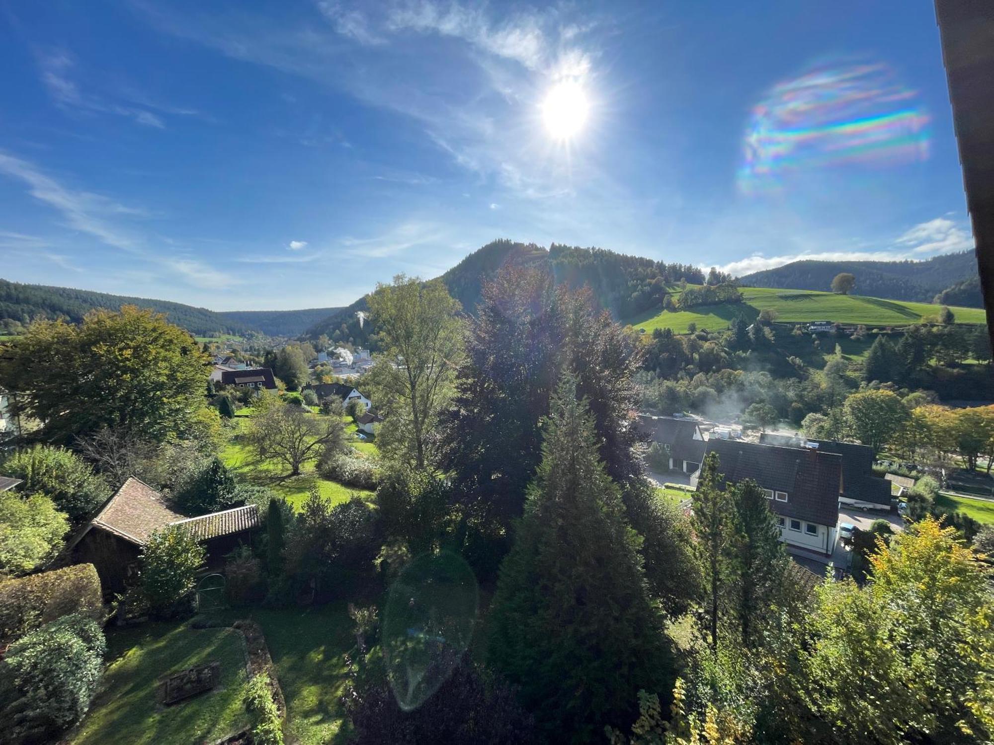 B&B Apart Hotel Goldener Hahn - Nahe An Gartenschau Tal X Baiersbronn Rum bild