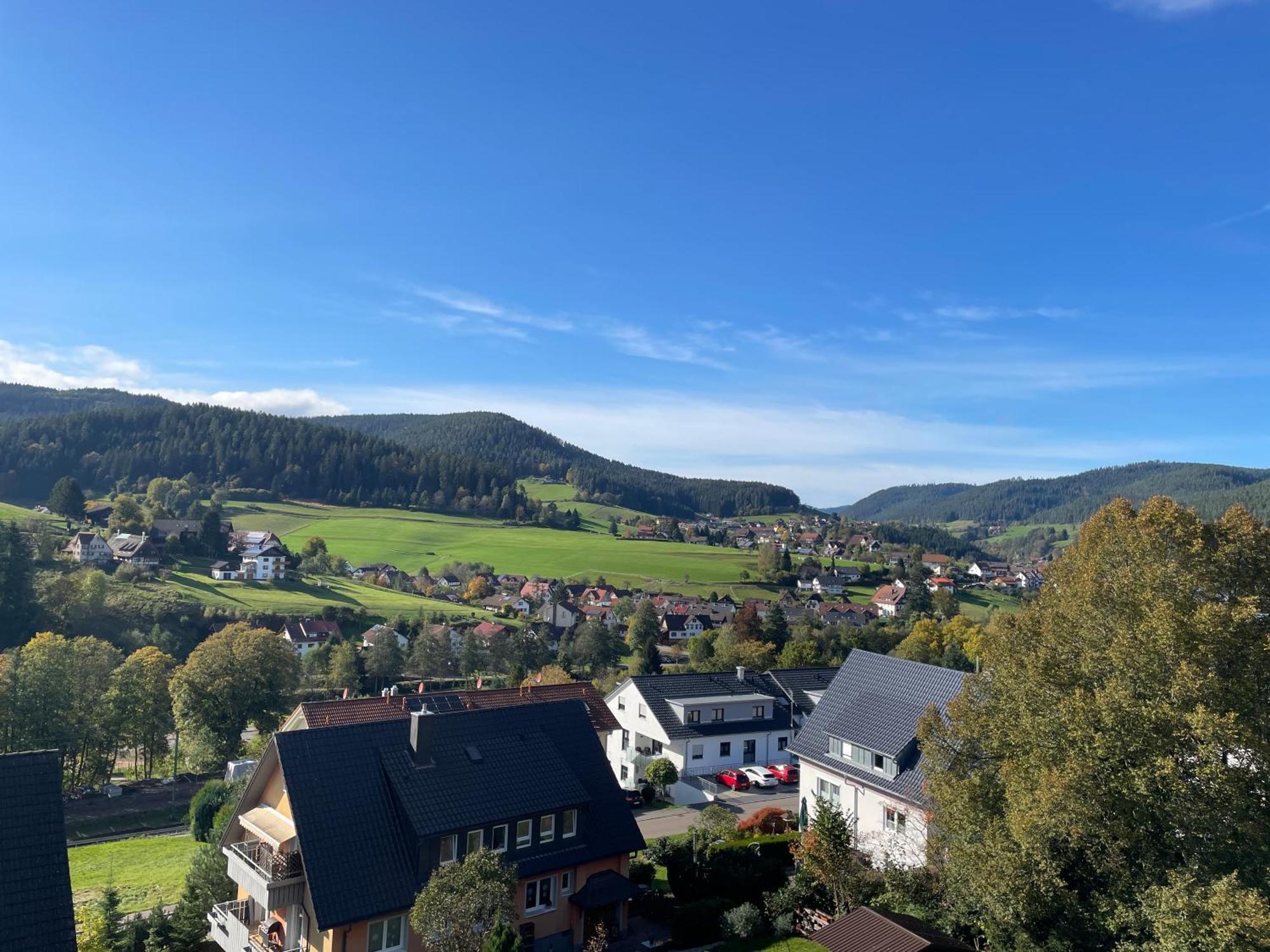 B&B Apart Hotel Goldener Hahn - Nahe An Gartenschau Tal X Baiersbronn Rum bild